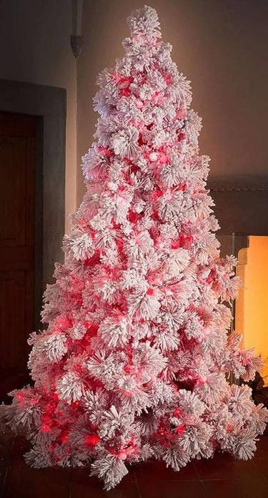 Продам ёлку  2.70 высота