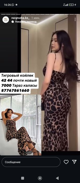 Тигровый лямка койлек сатылады