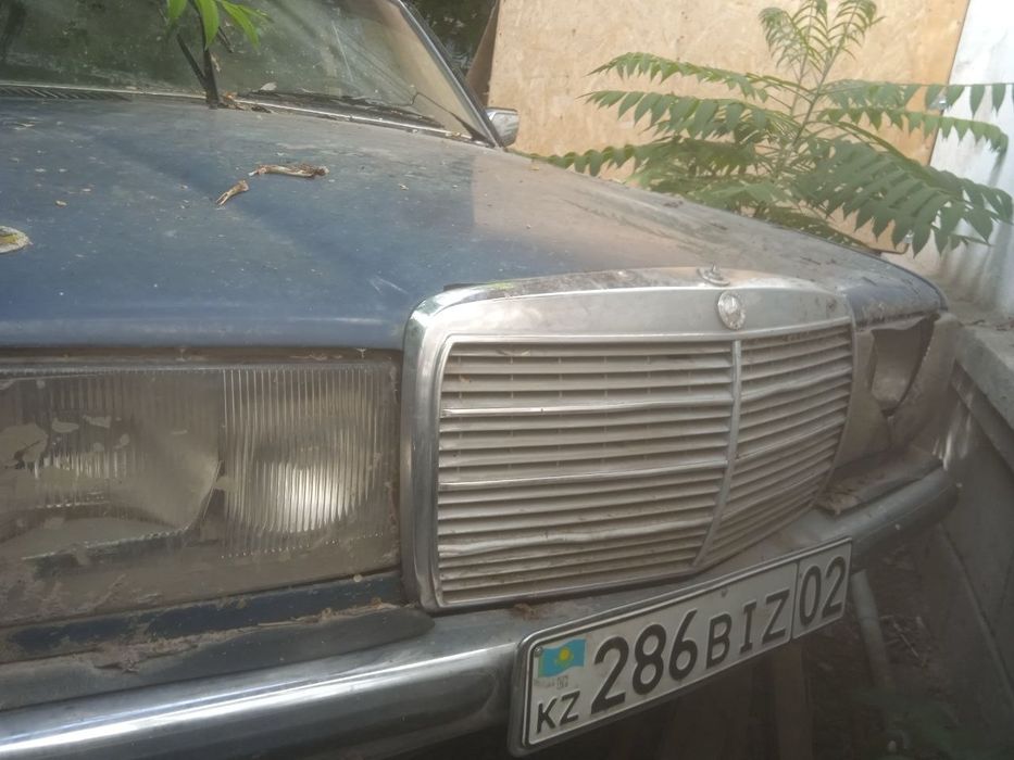 Mercedes benz w123, 1981, e250