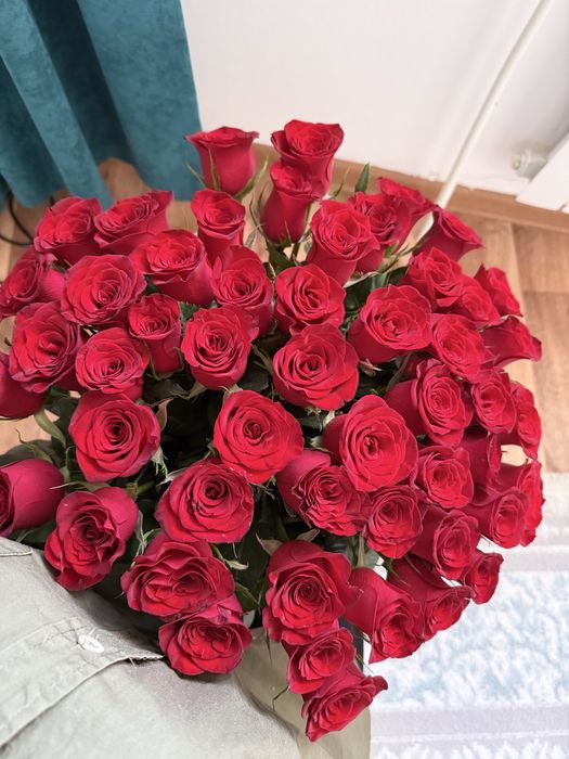 Продам 51 розу 25к