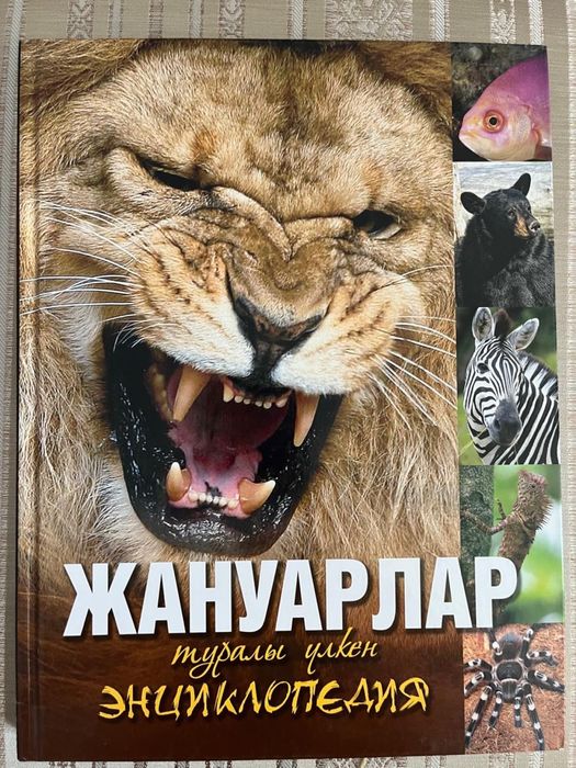 Книги (Абай, энциклопедии)