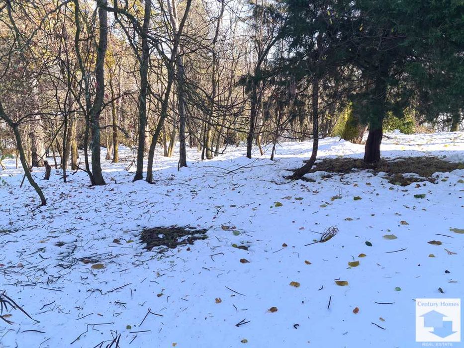 130033 Просторна двуетажна сграда, върху огромен парцел,  в с. Разсоха