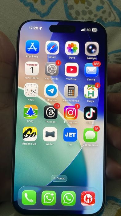 17 про 256 гб  100%