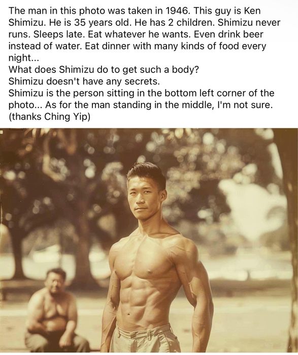 Scară nouă pentru câini