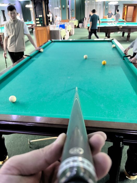 Кий Королев попугай