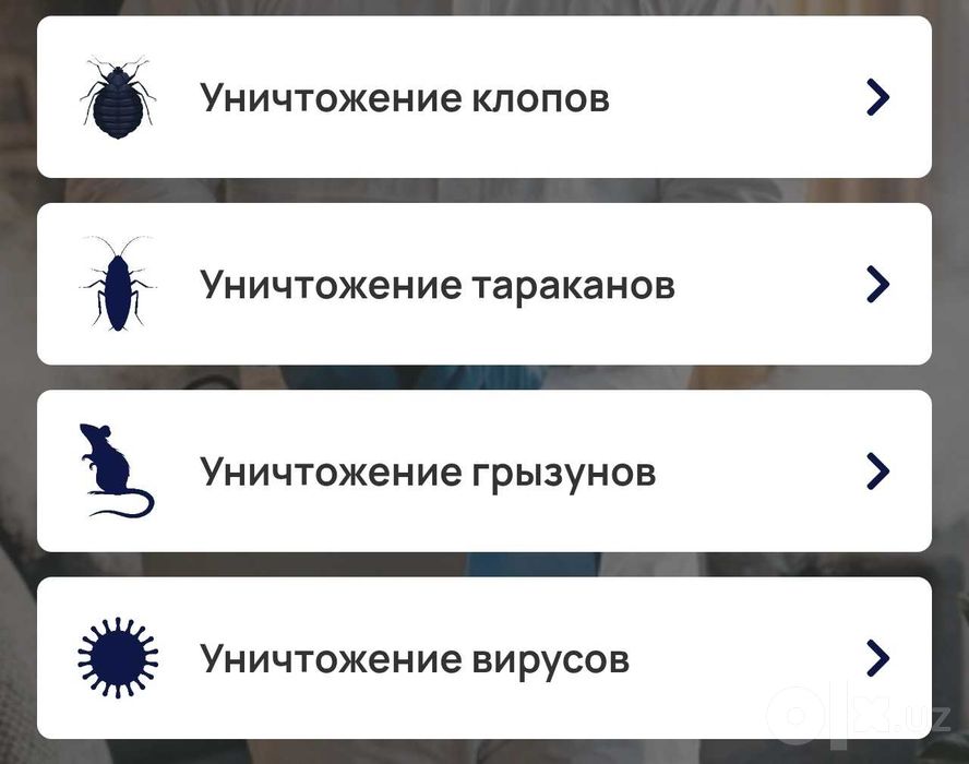 Профессиональная дезинфекция