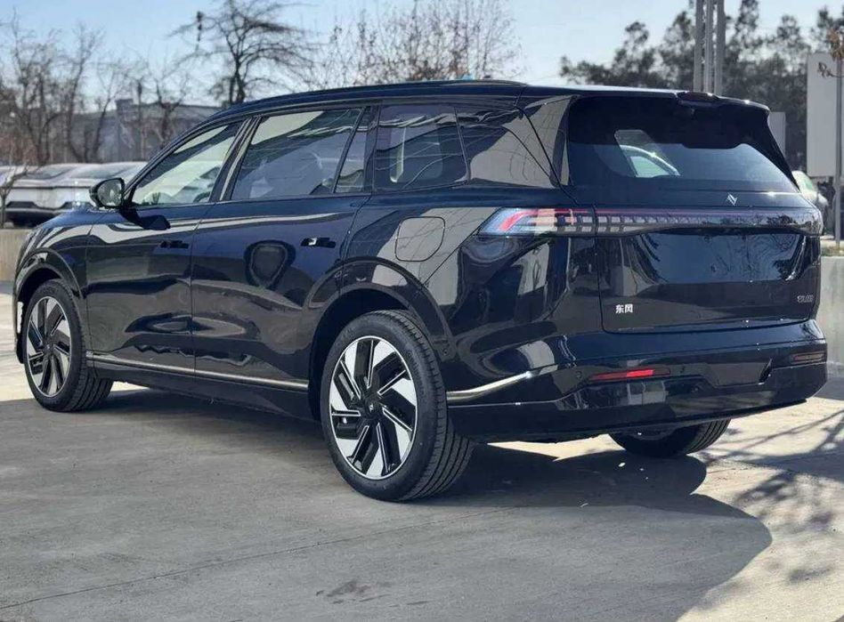 Dongfeng 008 Max pod zakaz