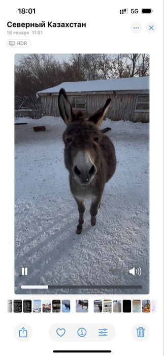 Продам или обменяю