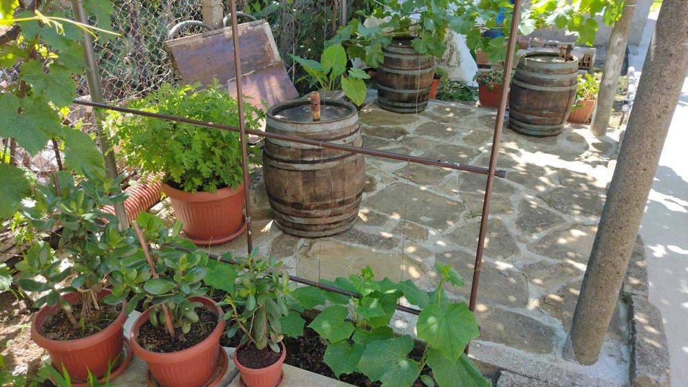 Дъбови бурета за вино и декорация