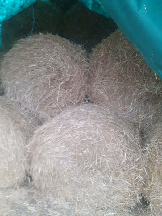 Baloti de paie de vanzare