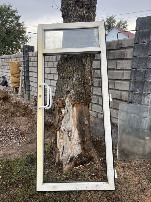 Пластиковые Дверь