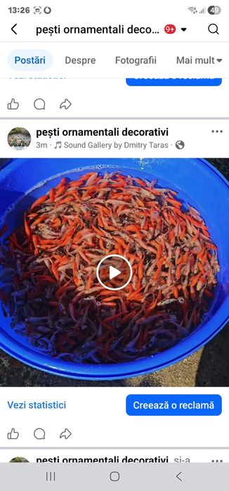 Pești ornamentali pentru populare