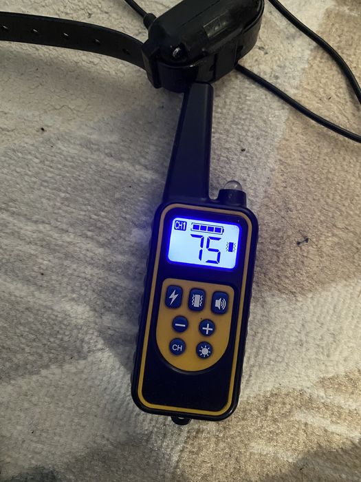 Ошейник для собак