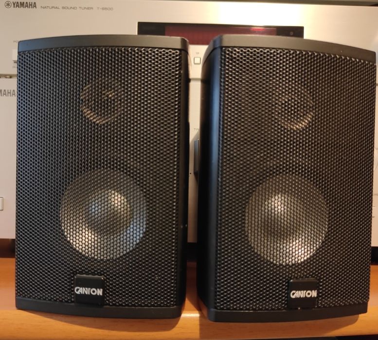 Boxe sateliți Canton, Bose amplificate