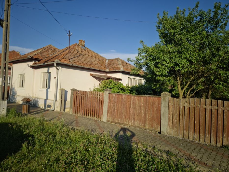 Casa cu gradina si anexe Lechinta