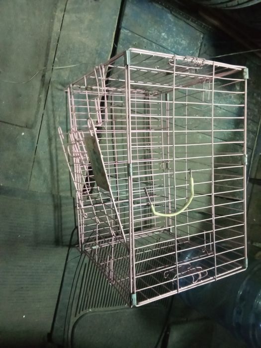 Аксессуары для животных