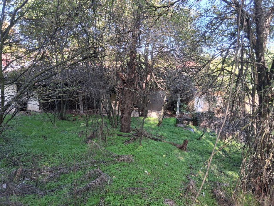 Продава се Парцел в Разград, Бели Лом - 960 кв.м за 12 €/кв.м - Снимка #7