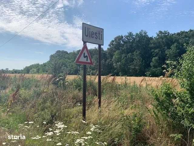 Propr inchiriez 27.000 mp teren la padure langa Bucurest 1000 eur/luna