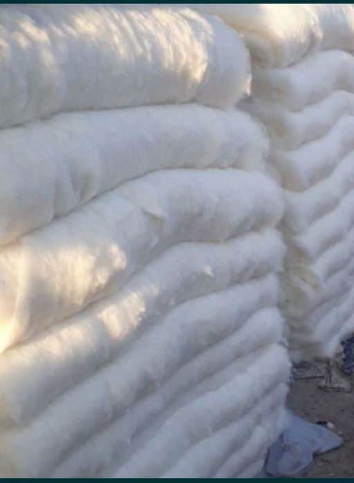 Пахта титиш сехи