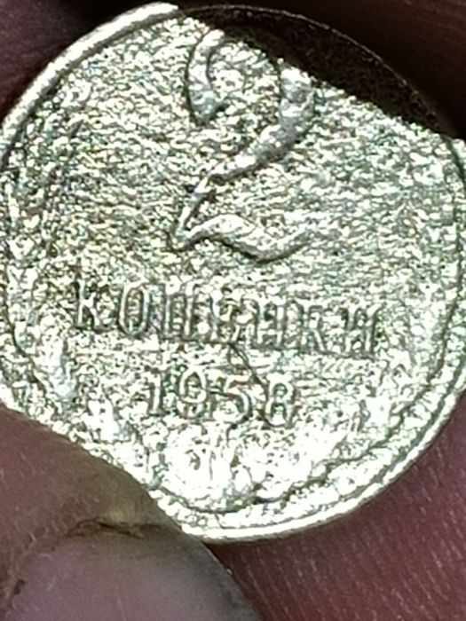 Tangalar zinachoklar hammasi optim sotiladi