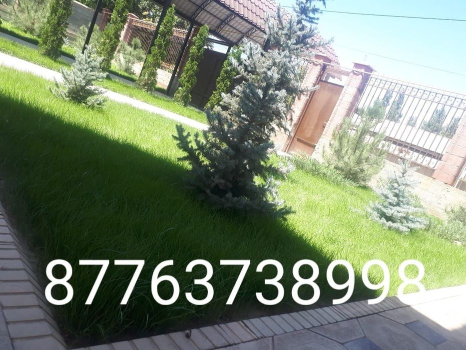 Автополив и газон