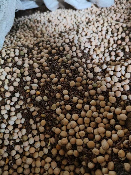 Продам зерносмесь Горох и Лен