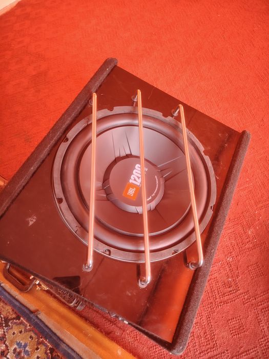 Pioner kapilekt zur xolatda