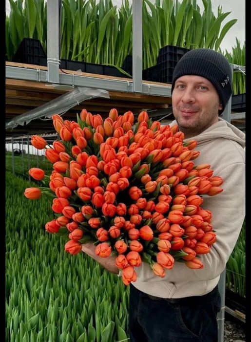 Гул, Цветы, Тюльпаны 8 МАРТА