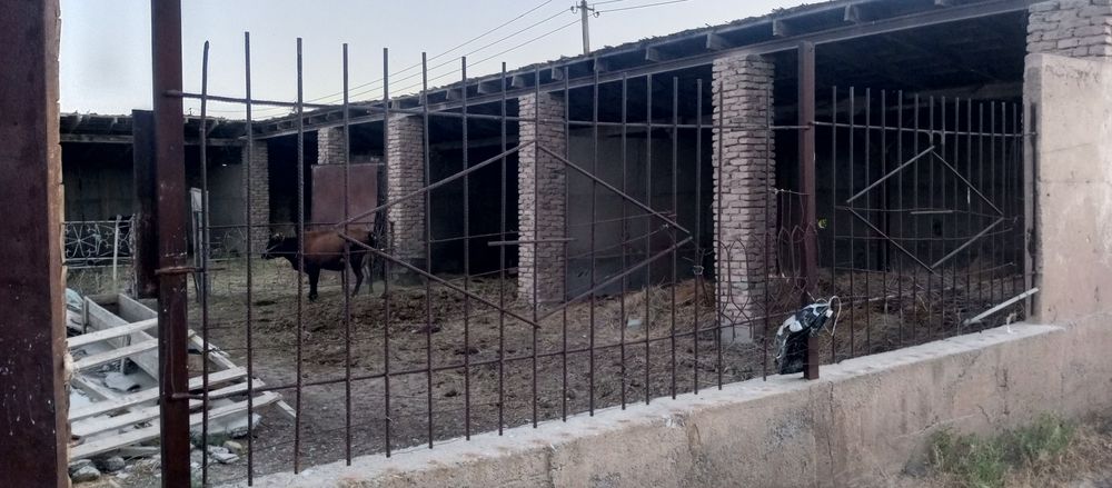 Ҳовли уй жой сотилади ферма қилиш учун мўлжалланган