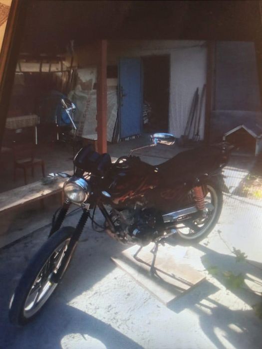 Мотик Китай, Тумкс, Талдыбулакта тур