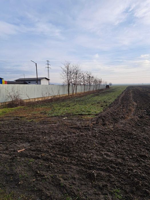 Teren de vânzare intravilan Urlați