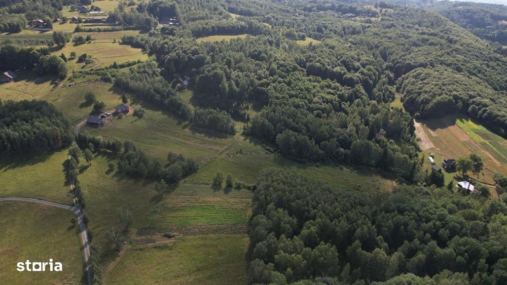 Exclusivitate | Teren de vanzare, 38.781 mp in Rasca
