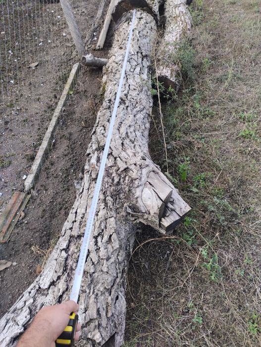 Продавам орехово дърво