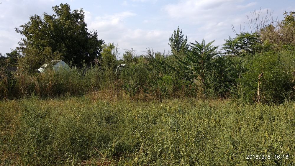 Casă bătrânească + teren intravilan 2.000 mp, utilități – Progresu, Ialomița – 18.500 €