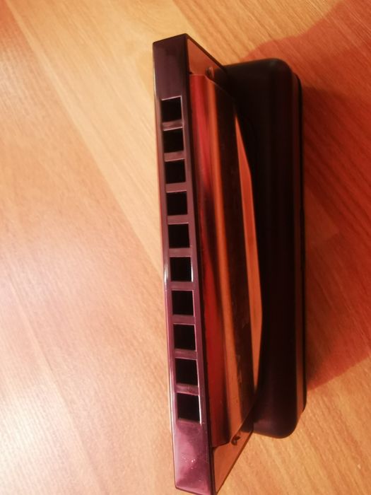 Muzicuta diatonica 2008 "Oakland harp