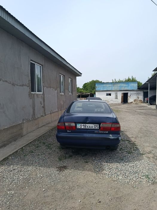 Тоето карина  е 1993 г в