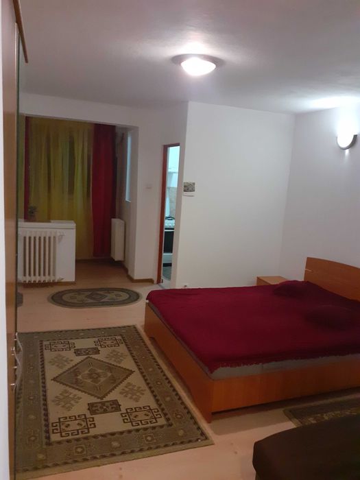 Garsoniera in Brazda lui Novac