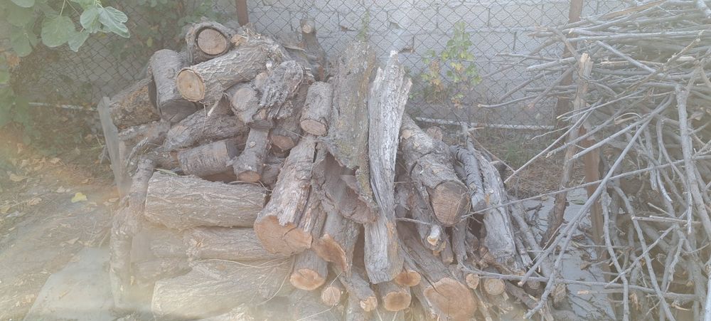 Дрова фруктовых деревьев , продам ,