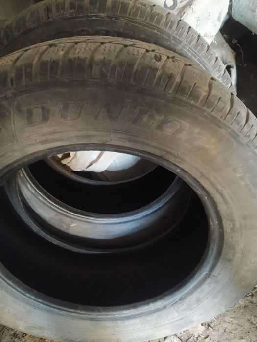 Шины зимние Dunlop