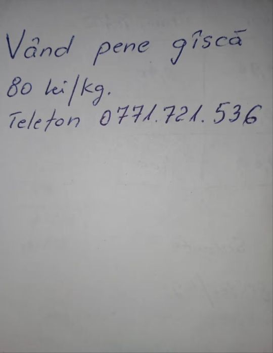 Pene  gîscă.  Folosit.