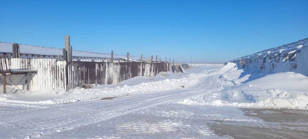 Продается Крестьянское хозяйство