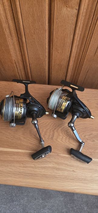 Black cat extreme 495