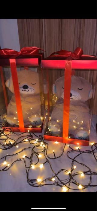 Дышащая Выдра Алматы