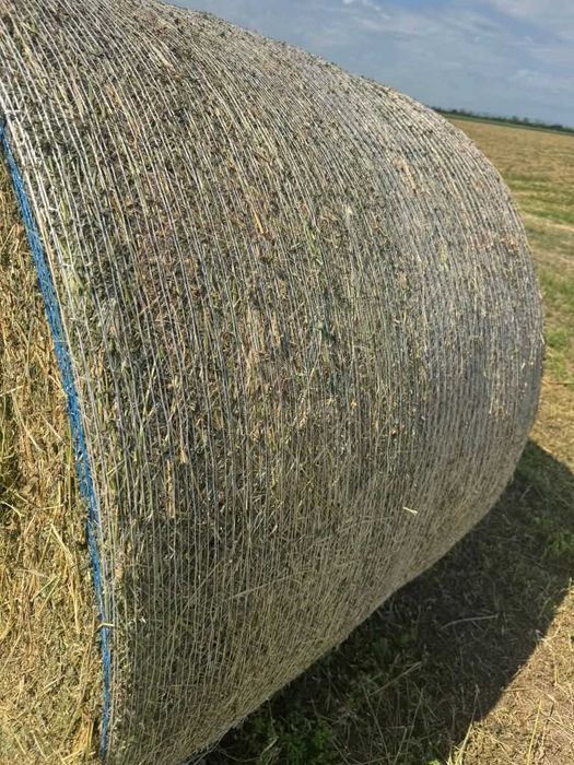 Baloți de vanzare coasa a2a