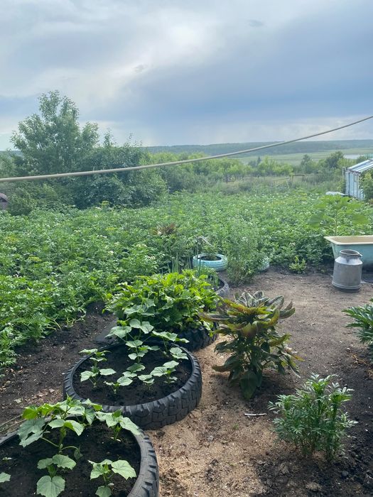 Продам дом. В рабочем поселке.