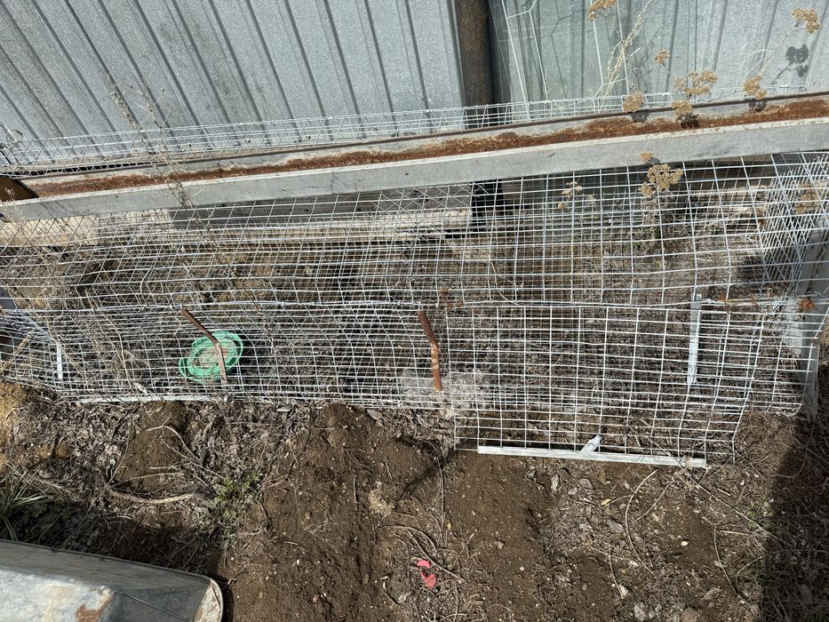 Сетка для курей и цыпленок