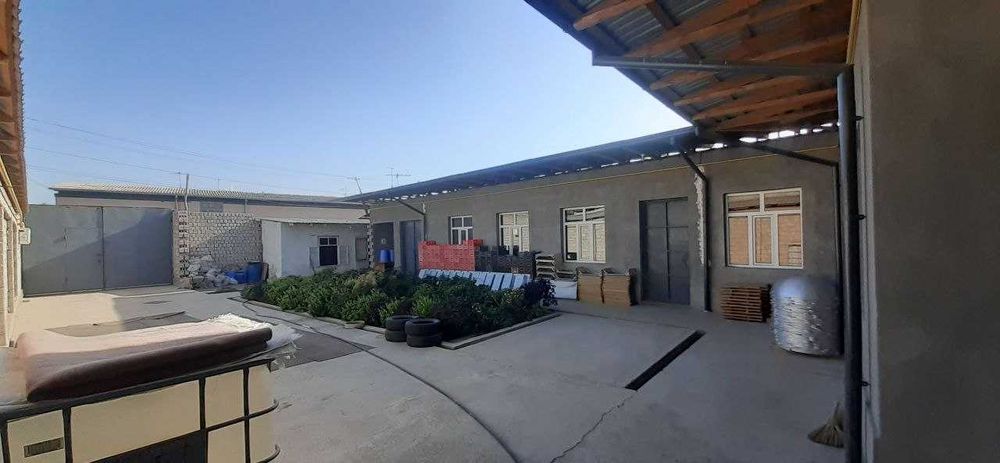 Kotta qanida joy bor