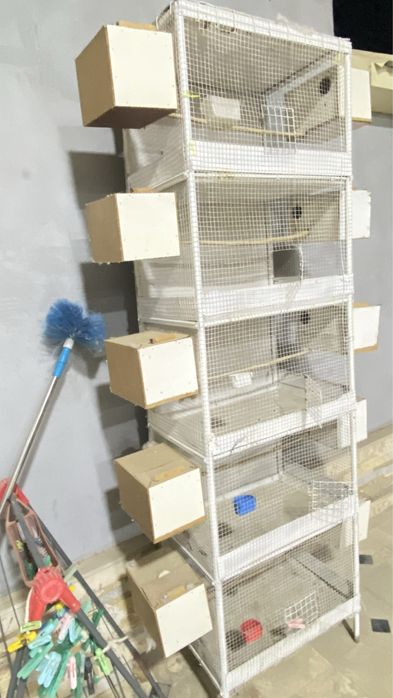 Sotiladi tayor valer