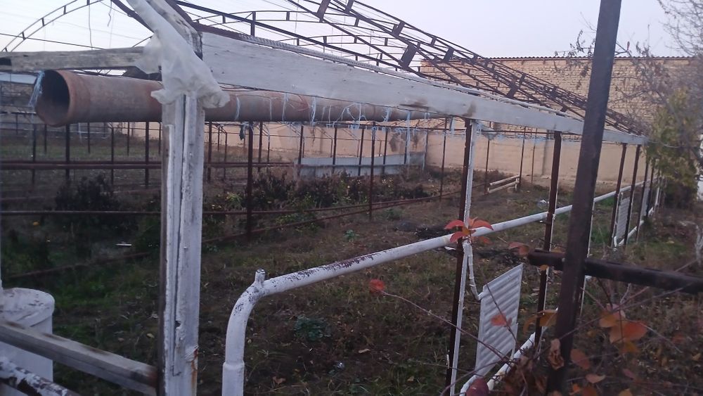 Issixona polizekinlari (sabzavotlar uchun) biznesmenlar uchun