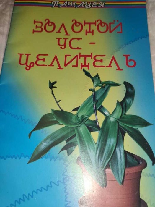 Лечение народными средствами